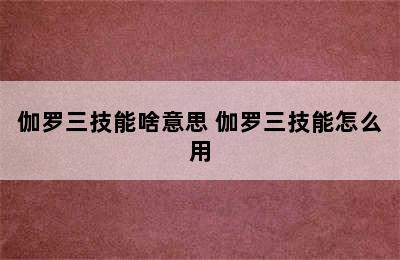 伽罗三技能啥意思 伽罗三技能怎么用